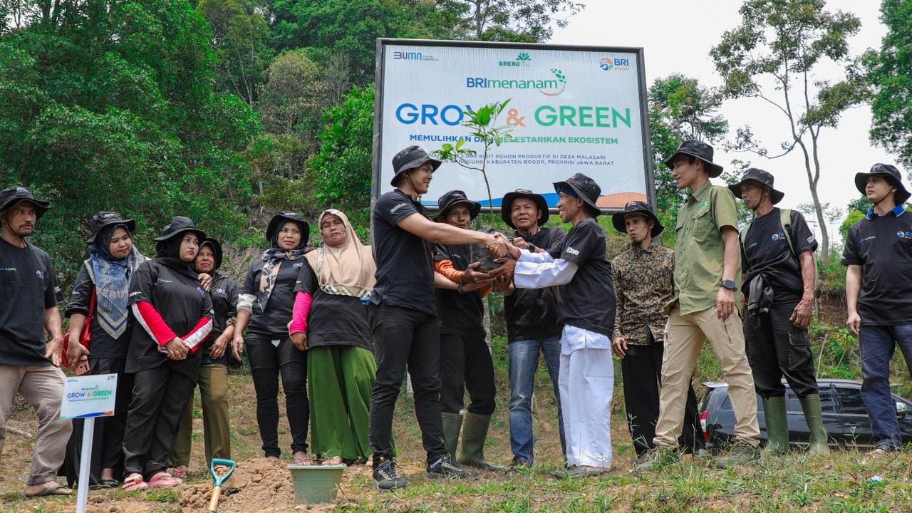 Aksi Nyata Kelompok Tani Mantan Penambang Memulihkan Hutan Lewat BRImenanam Grow & Green
