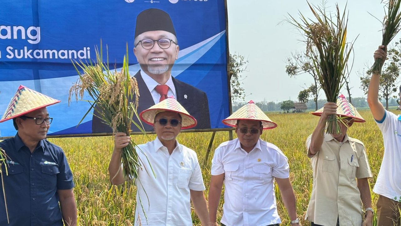 Menteri Koordinator Pangan Zulkifli Hasan