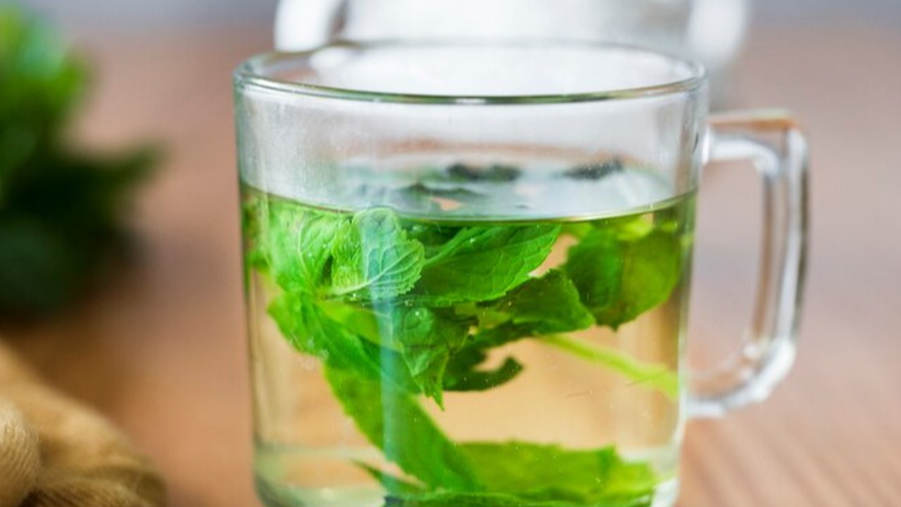 Rebusan Daun Herbal (Credit: Freepik)