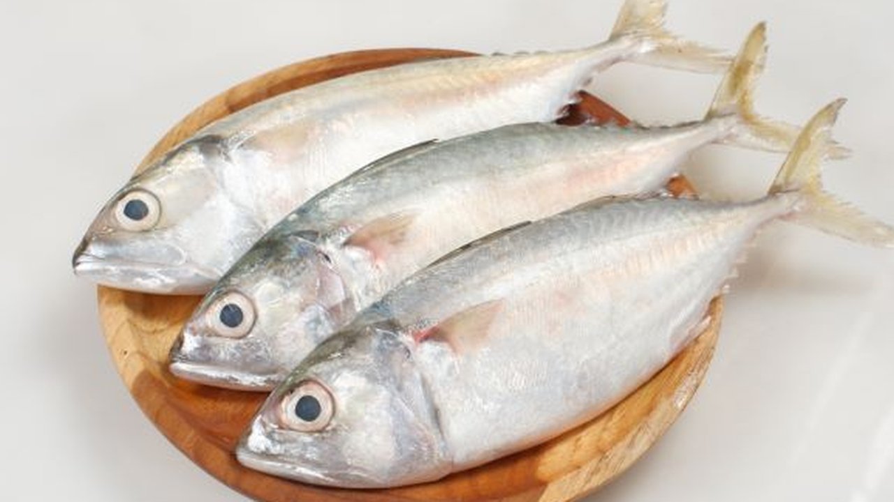 Ikan Kembung
