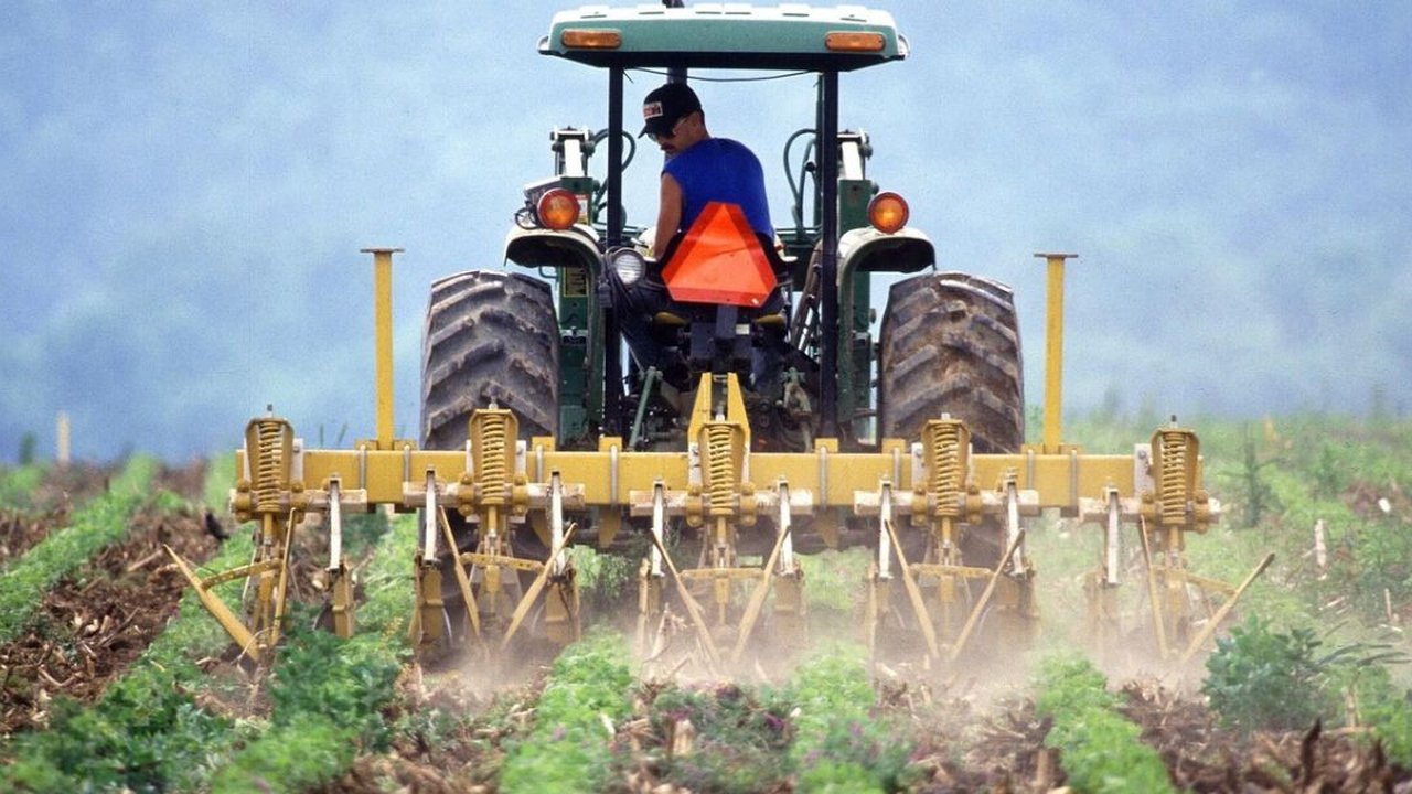 Panduan Lengkap Daftar Petani Milenial 2024, Siapkan Dokumen Berikut untuk Sukses!