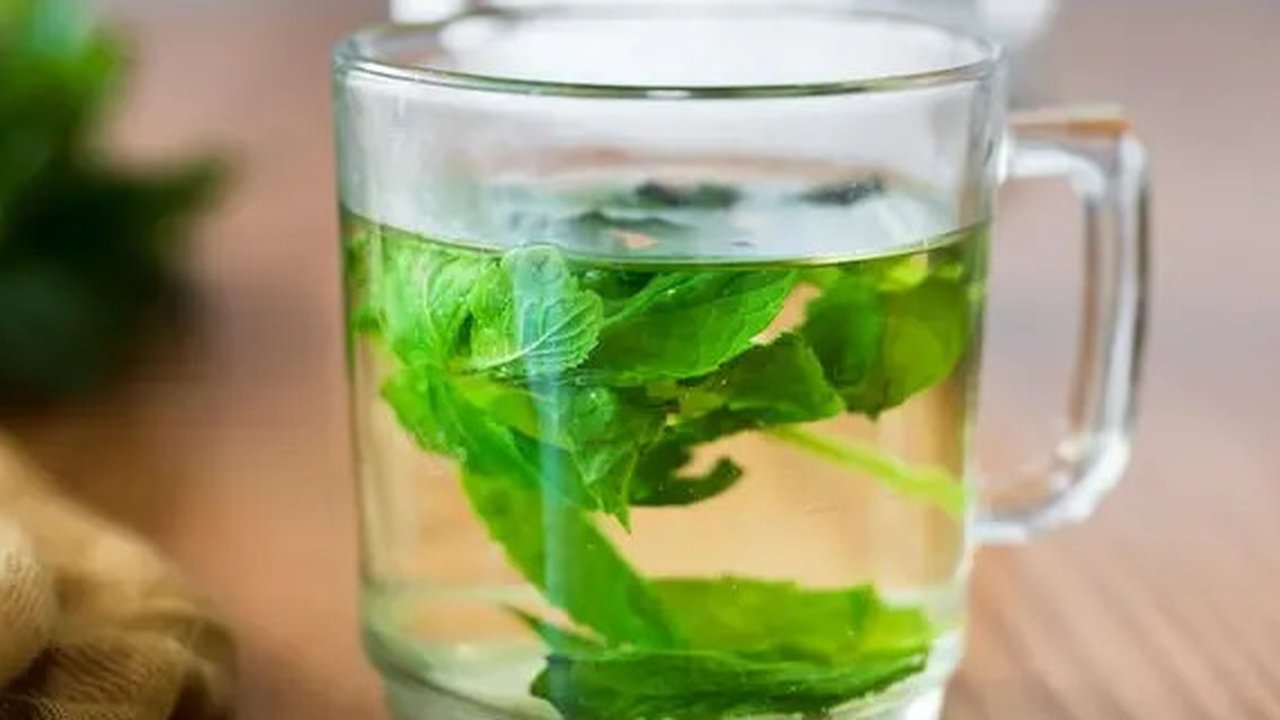 Rebusan Daun Herbal (Credit: Freepik)