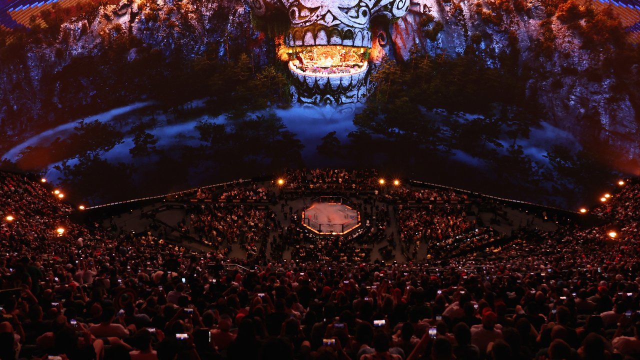 Bintang UFC, Jon Jones dalam sebuah pertarungan yang berlangsung di Texas, Houston, Februari 2018 lalu (AFP/Ronald Martinez)