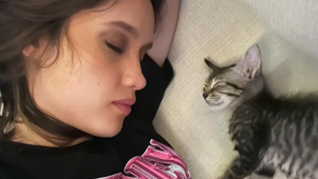 Melihat kecintaan Cinta Laura pada semua anabulnya, netizen pun mengatakan bahwa kucing-kucing tersebut sangat beruntung diadopsi oleh sang bintang.