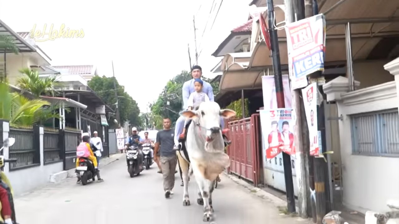 Gokil, Irfan Hakim Berangkat Salat Jumat Naik Seekor Sapi dan Bagi-bagi Nasi Kotak