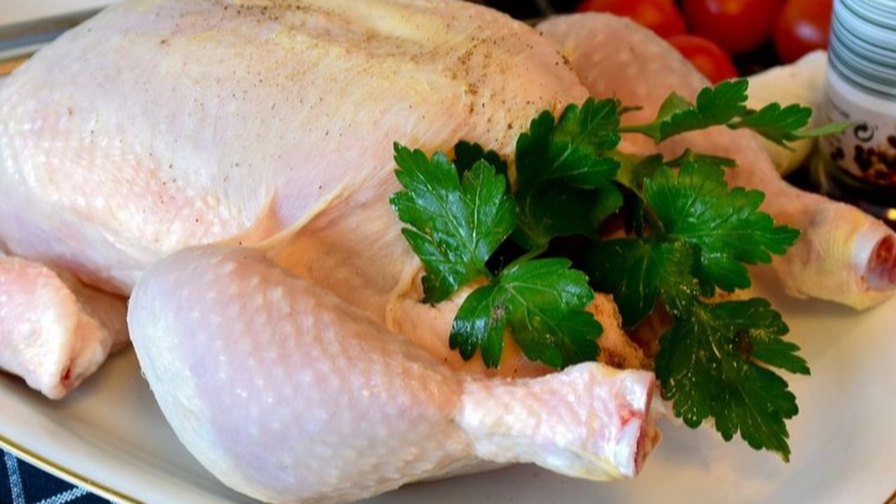 ilustrasi daging ayam