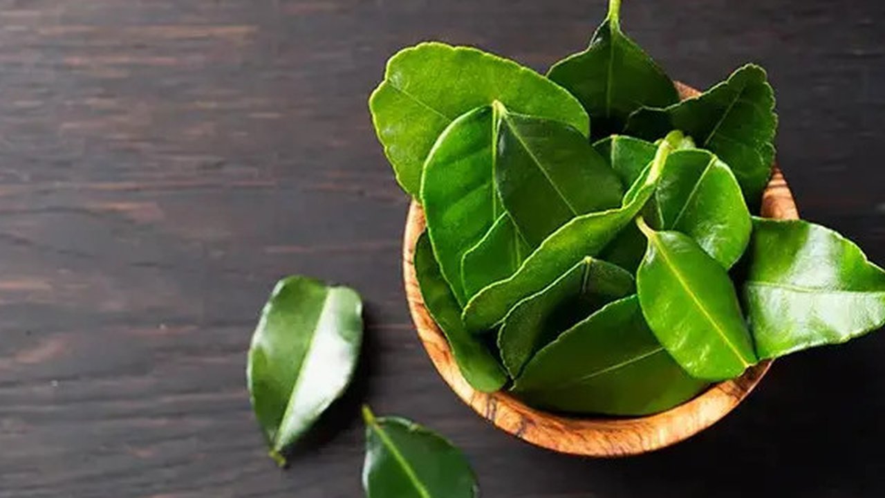 Daun Jeruk Purut (Sumber: wikimedia.org)