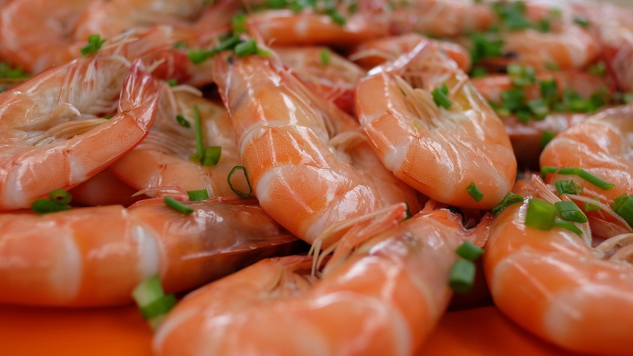 photo by Viclinst90 from Pixabay