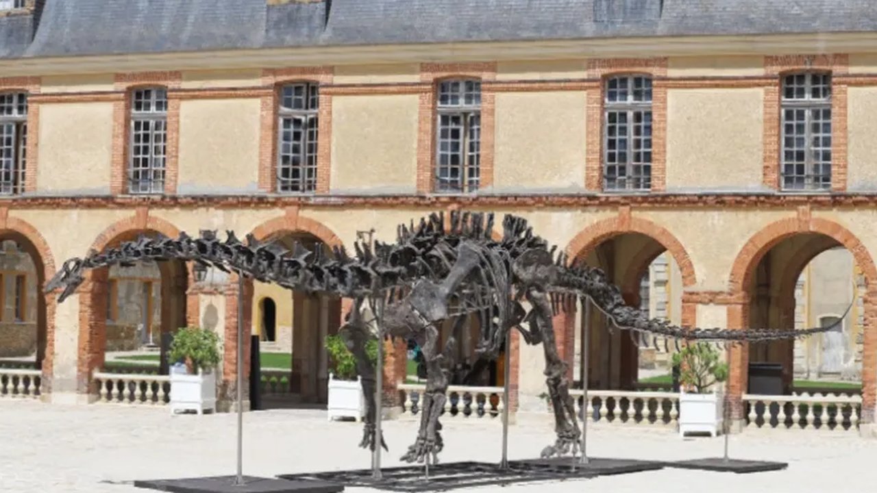 fosil dinosaurus dilelang