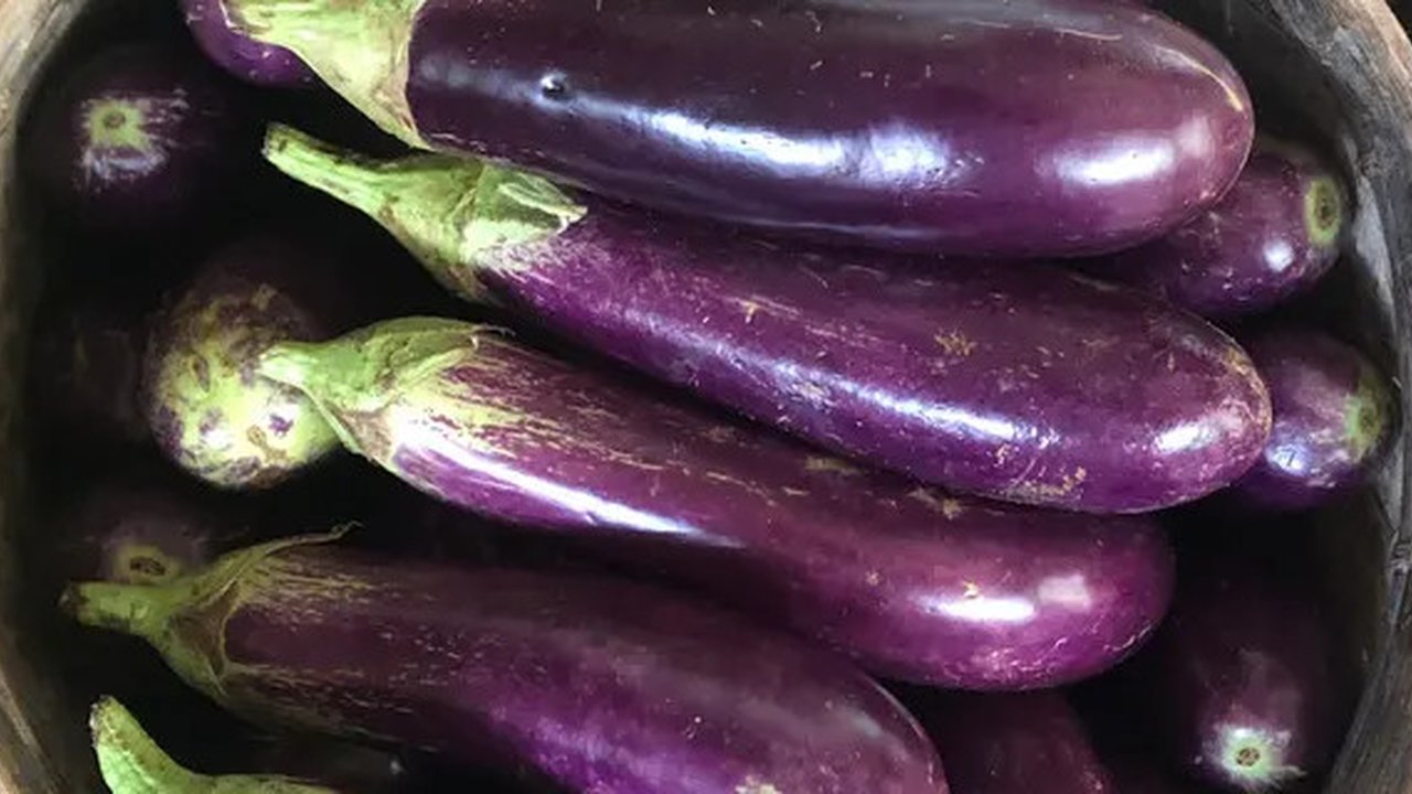 Ilustrasi terong (dok. Pixabay.com/Moom22/Putu Elmira)