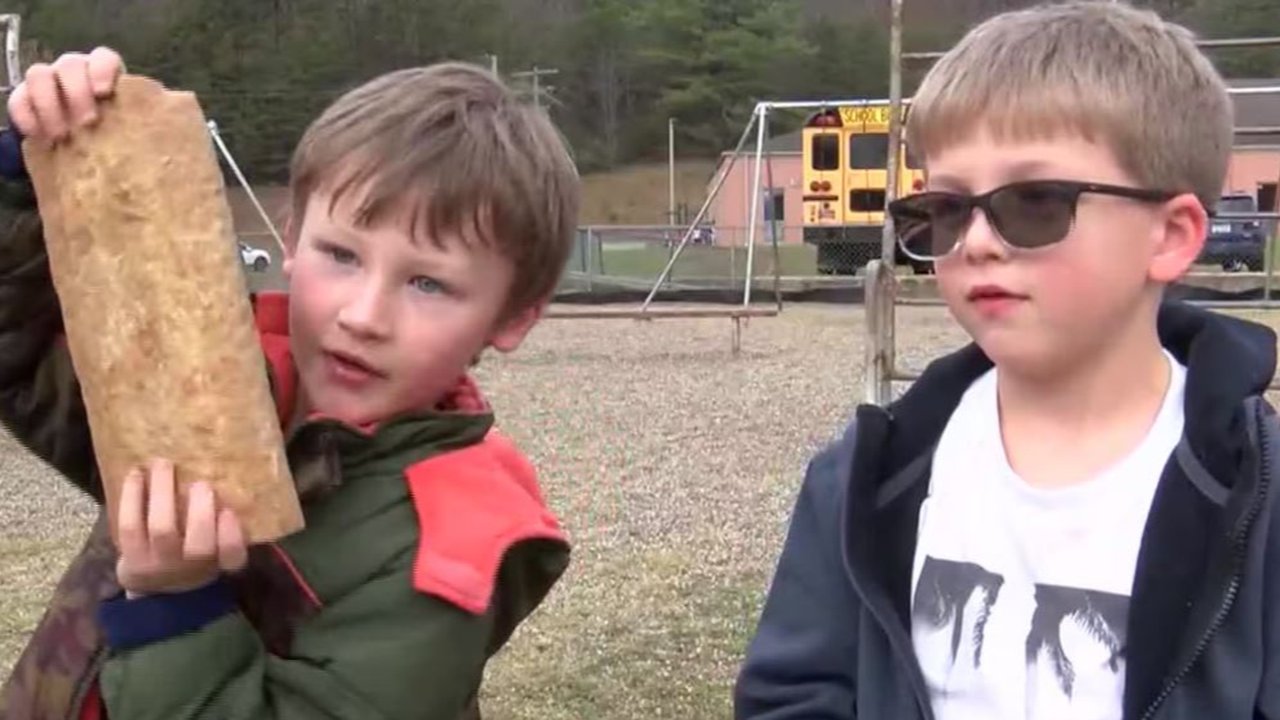 Dua bocah Amerika penemu fosil pohon purba berusia 300 juta tahun.