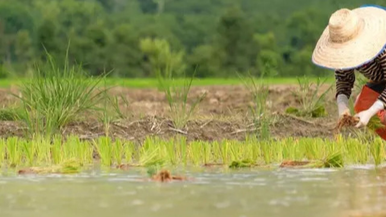 Gus Baha (SS: YT. @NgajiGusBaha)