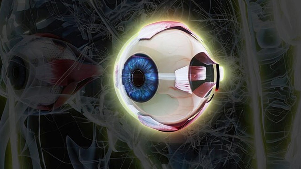 Ilustrasi Retina Mata Credit: unsplash.com/Kalea