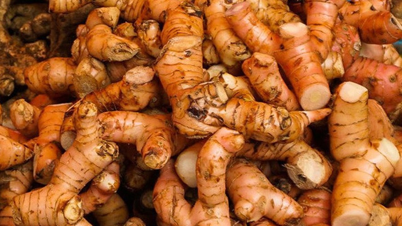 Manfaat jahe untuk kesehatan tubuh.