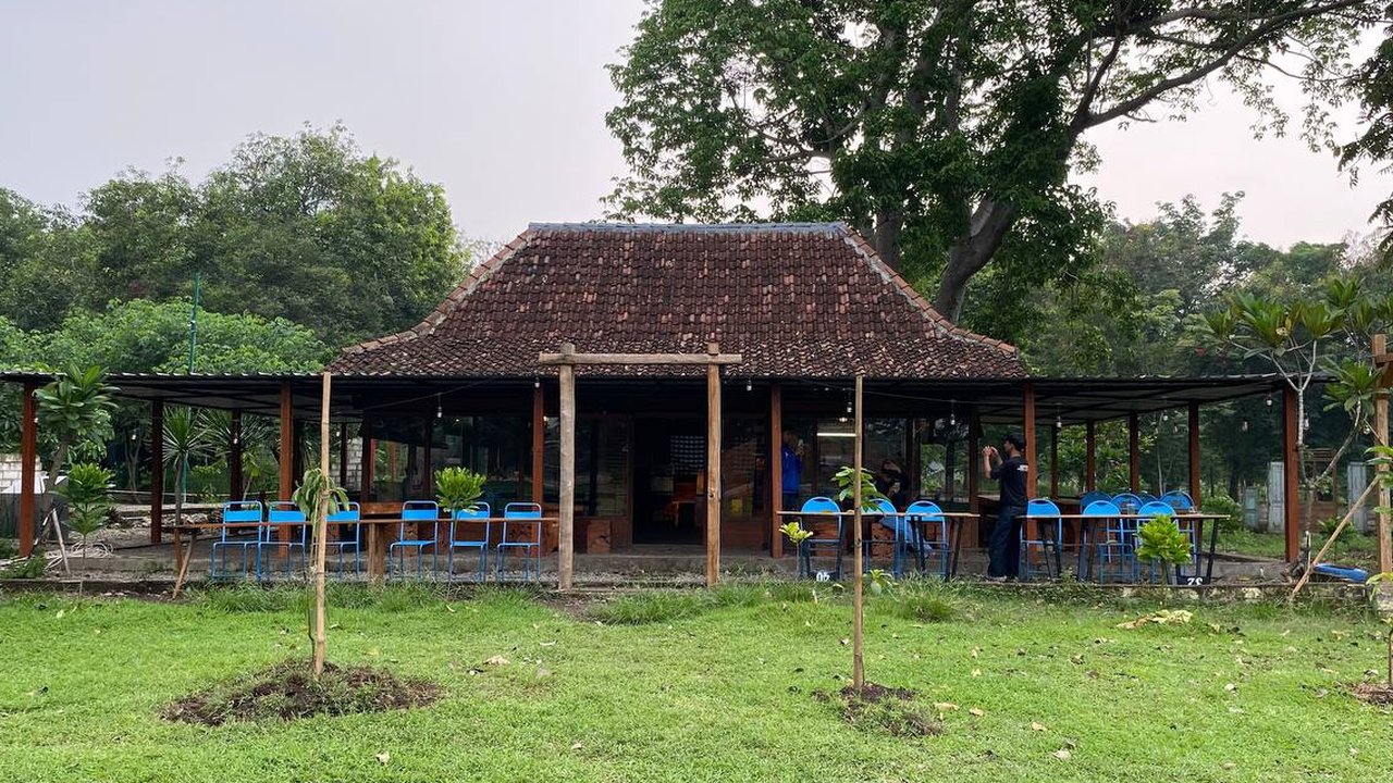 Kokobo Dander Forest Bojonegoro