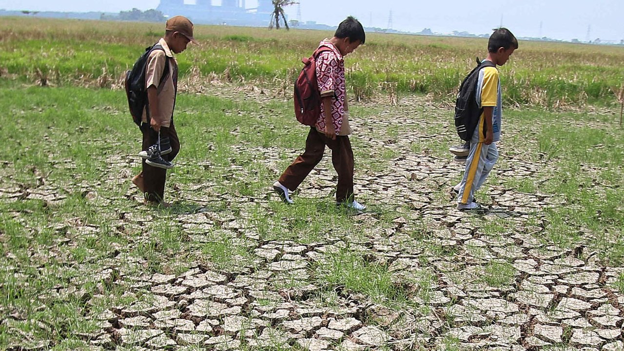 Warga melintasi kawasan persawahan yang kering di Kawasan Kabupaten Tangerang, Banten, Rabu (6/9/2023). (Liputan6.com/Angga Yuniar)
