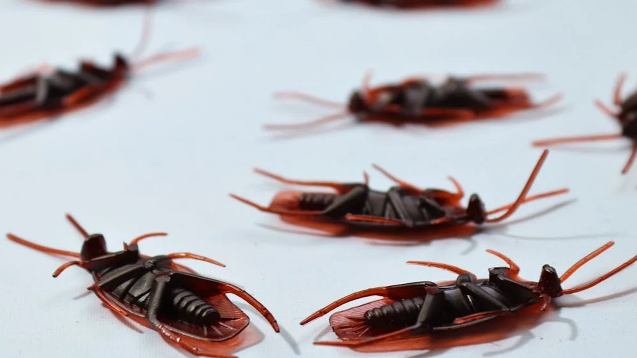 Baca tiga berita terpopuler yang terangkum selengkapnya dalam top 3 Lifestyle pagi ini, Rabu (14/6/2017). (Foto: iStockphoto)