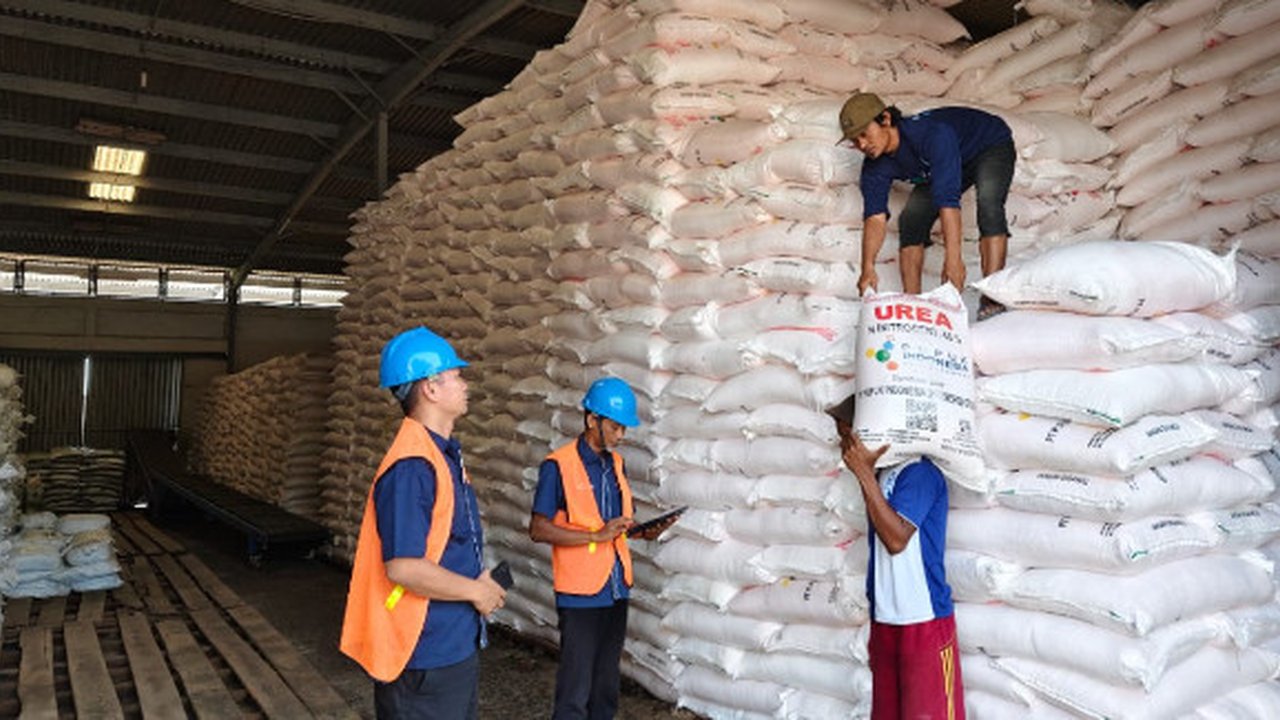 Pupuk Kujang memastikan pasokan pupuk aman dan siap menyambut musim tanam petani di Cirebon. (ist)