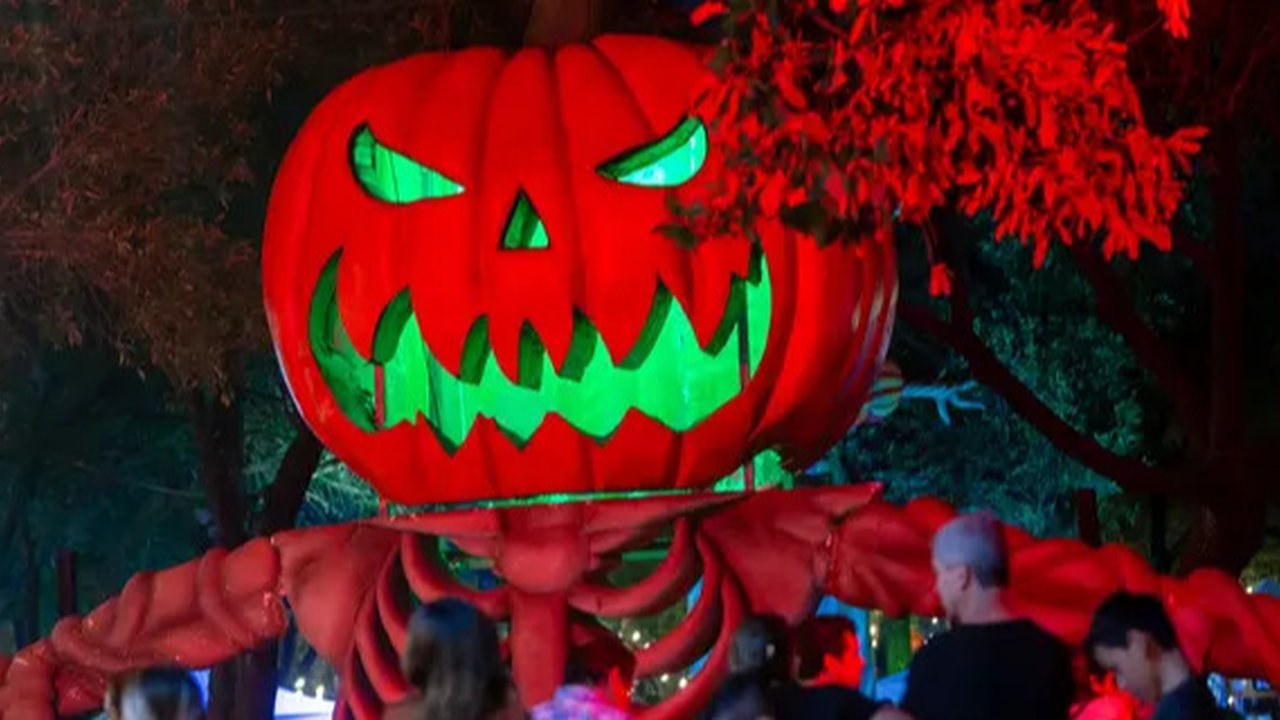 Ilustrasi Halloween. (Toni Cuenca/Pexels)