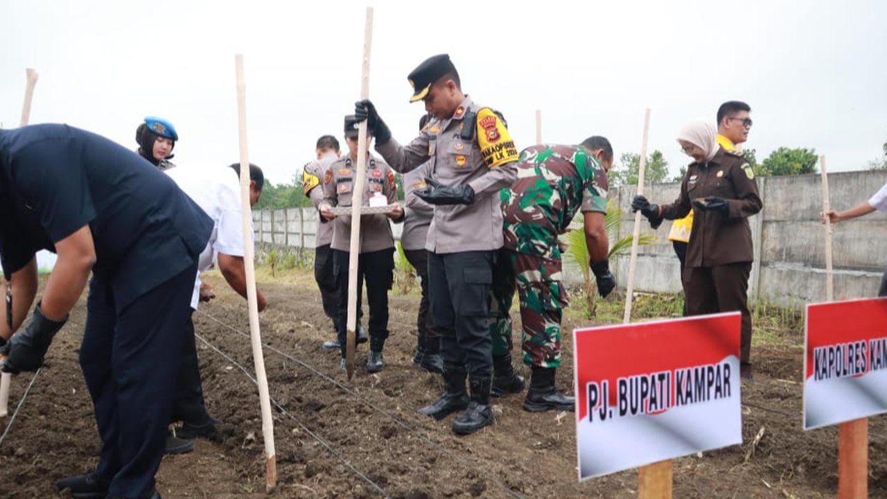 Ketahanan pangan