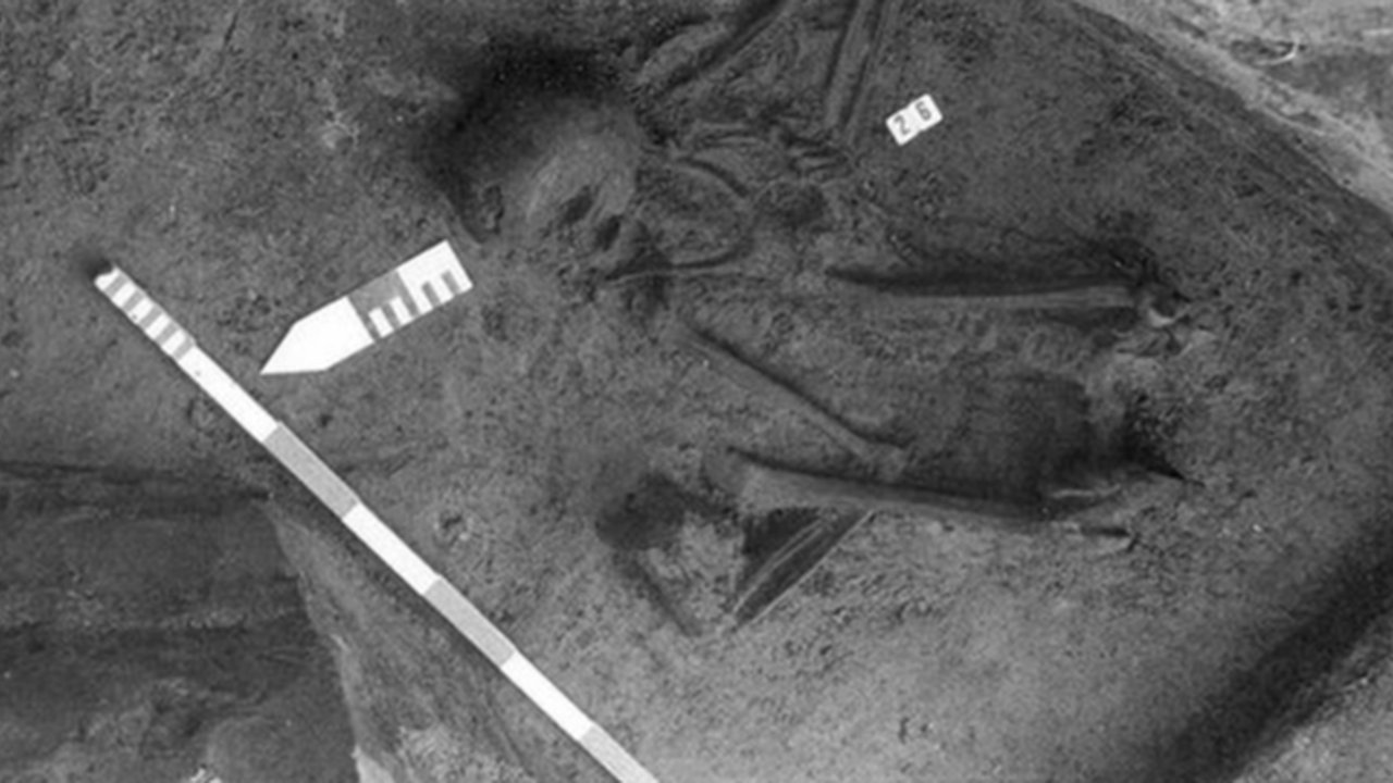 Kerangka manusia yang disusun dari tulang lima individu berbeda