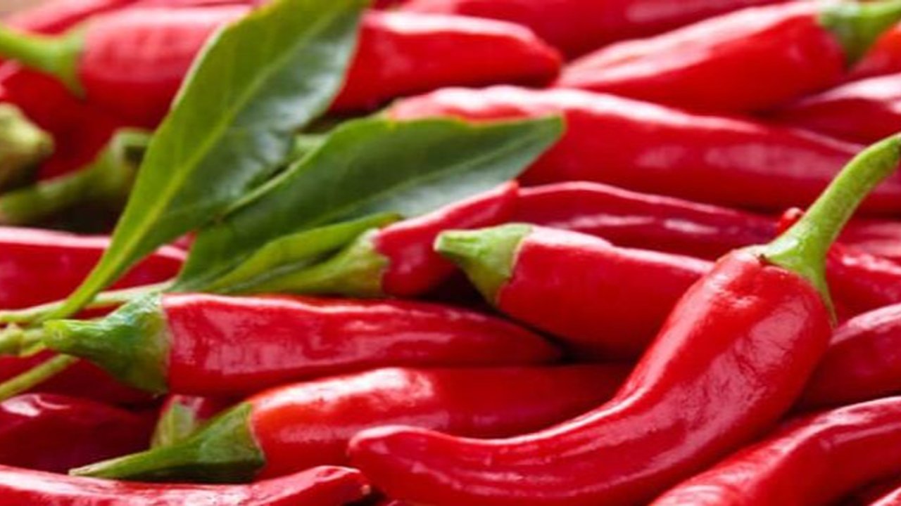 Cabe merah