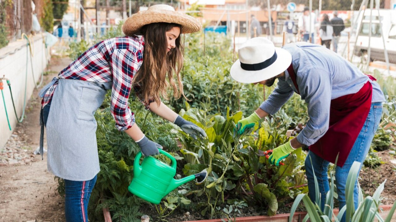 Merawat Tanaman, Merawat Diri: Manfaat Berkebun bagi Kesehatan Fisik dan Mental
