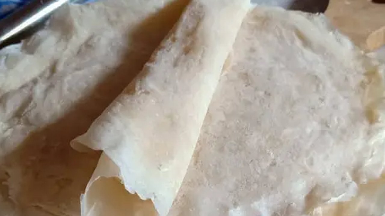 Ilustrasi kulit lumpia.