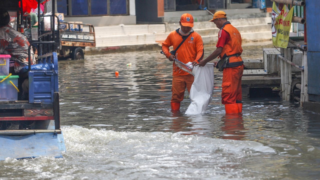 Petugas PPSU membersihkan sampah pada genangan air rob yang melanda wilayah Muara Angke, Jakarta Utara, Selasa (19/11/2024).
