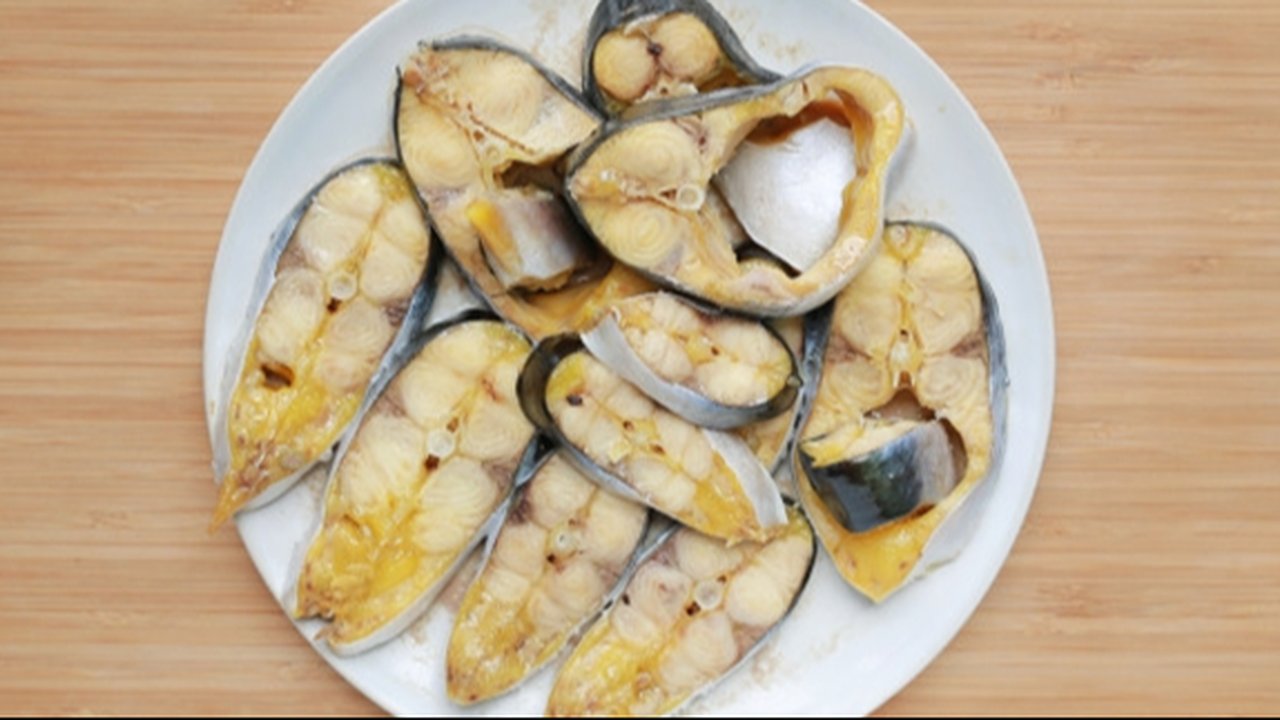 Ilustrasi Ikan Patin