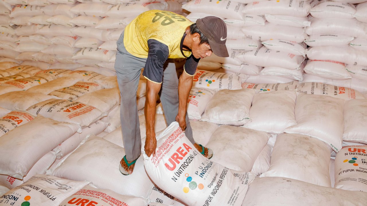 Pekerja melakukan bongkar muat pupuk bersubsidi di Gudang Pupuk Lini III Sumur Pecung, Kota Serang, Banten (Liputan6.com/HO)