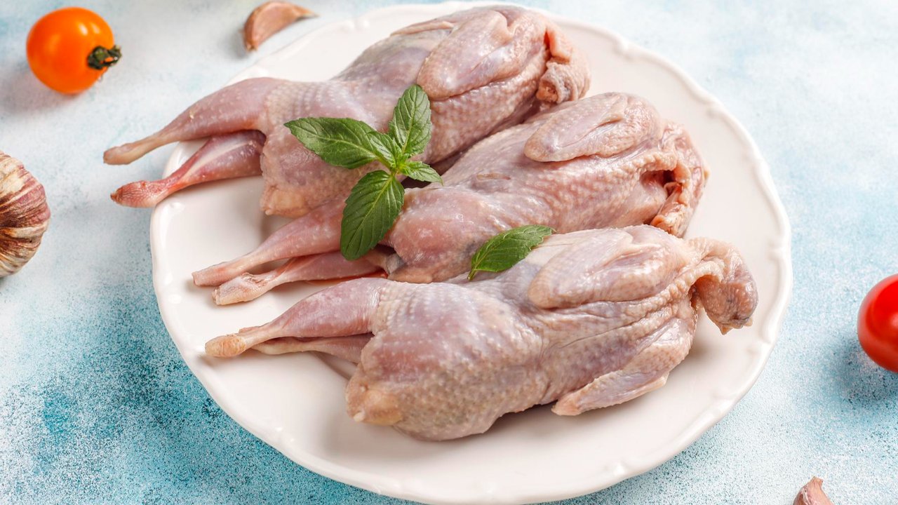 Ilustrasi burung puyuh.