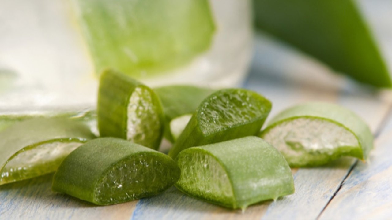 Kombinasi Masker Aloe Vera Untuk Rambut Anti Ketombe