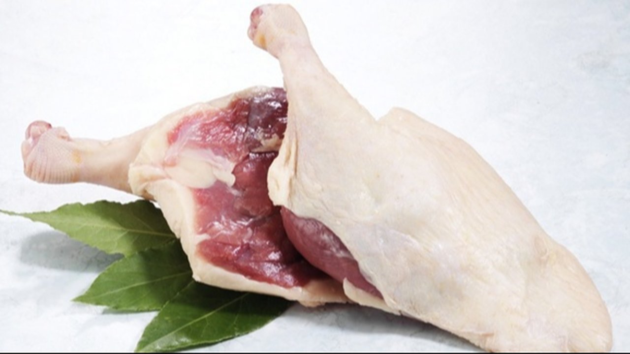 Ilustrasi daging bebek