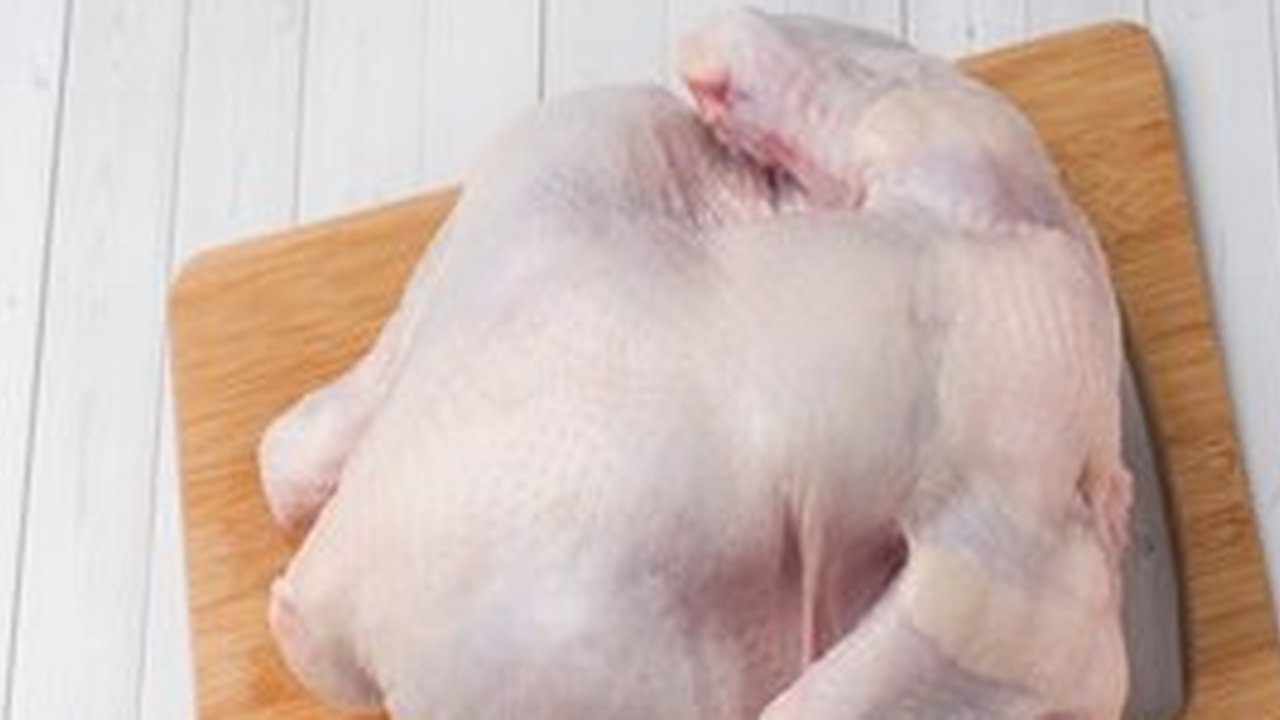 Ilustrasi daging ayam kampung