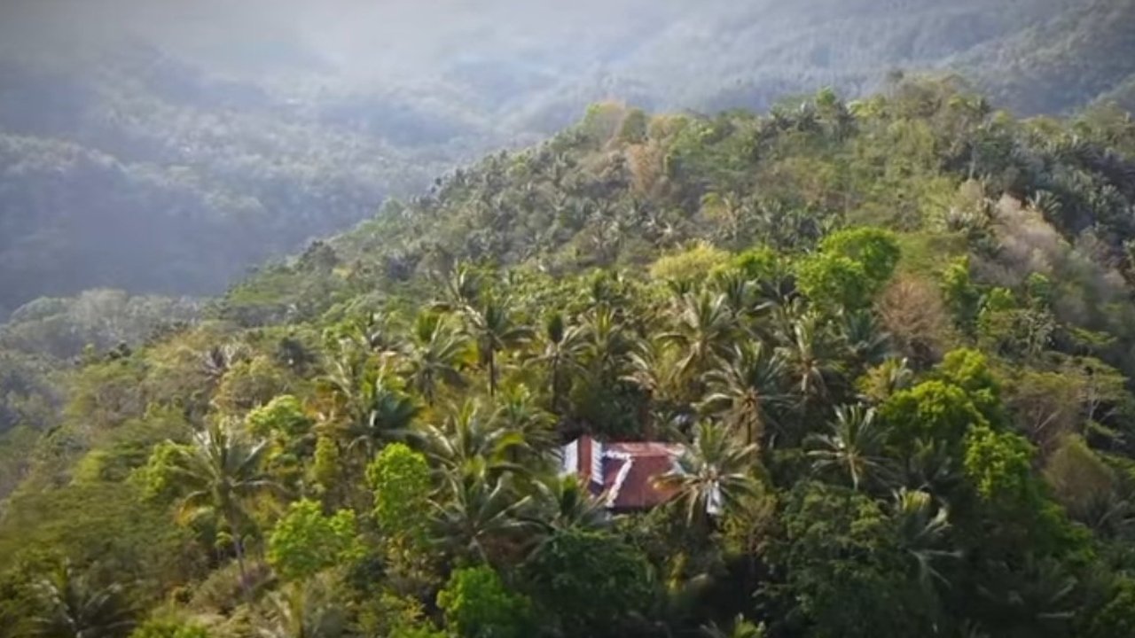 Pria Banjarnegara ini nekat tinggal di tengah hutan