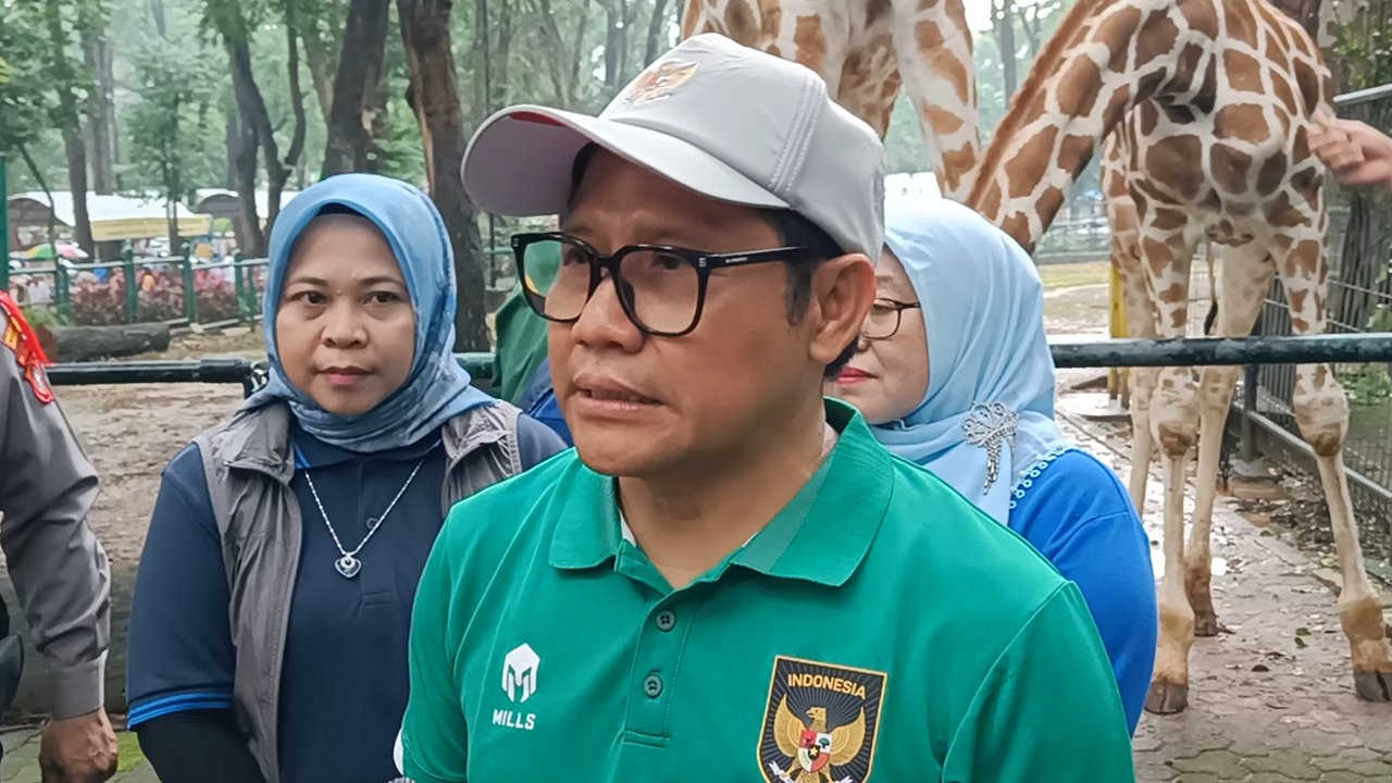 cak imin komentari hasto kristiyanto