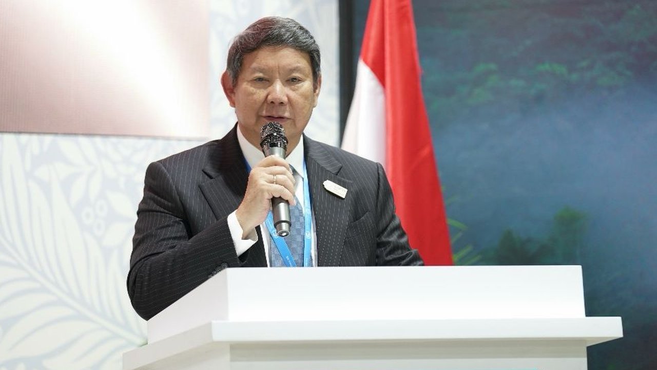 Utusan Khusus Presiden Republik Indonesia dalam Conference of the Parties (COP) 29, Hashim Djojohadikusumo