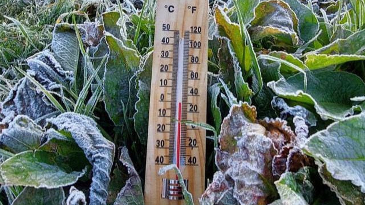 Suhu menginjak -1°C, begini kondisi Dieng yang kembali membeku.