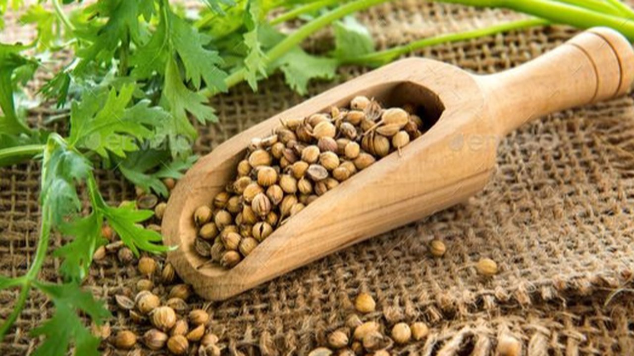 Biji Ketumbar. (foto: Pinteres/MyRecipes).