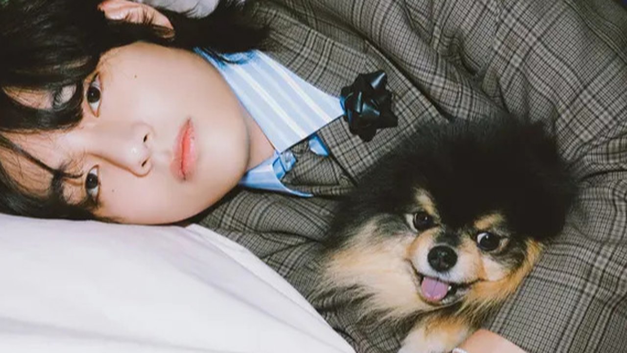 V BTS Umumkan Kematian Yeontan, Anjing Kesayangan yang Dianggap Anggota BTS ke-8