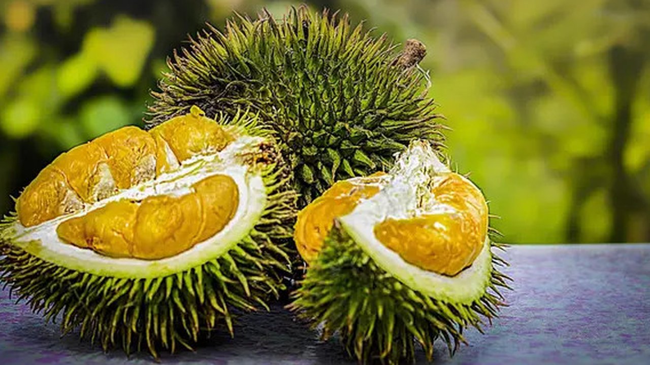 Durian is known for having bad smell that can stay for a long time on your mouth.
