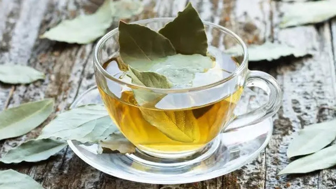 Ilustrasi rebusan daun salam (Sumber: iStockphoto)