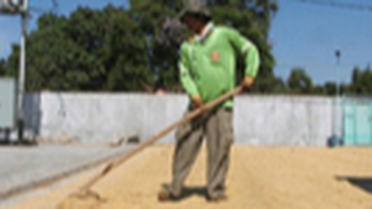 Hingga April Bulog Baru Serap 400 Ribu Ton Gabah Petani