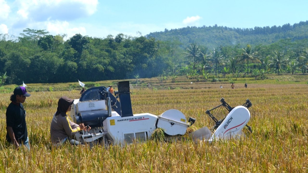 Petani memanen dengan mesin (harvester) bantuan Kementan, mampu mempercepat pemanenan padi dibandingkan cara manual. (Foto: Liputan6.com/Muhamad Ridlo)