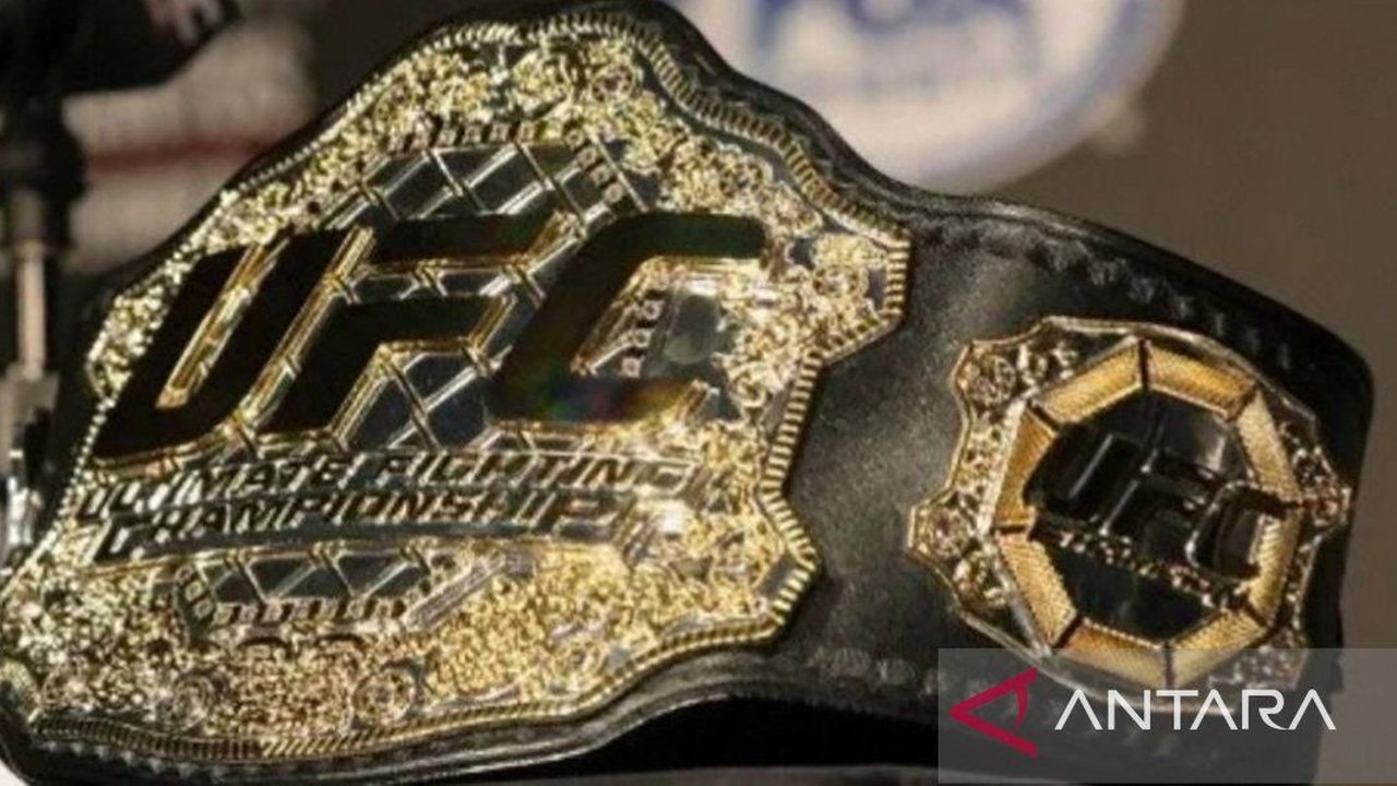 Pemain UFC