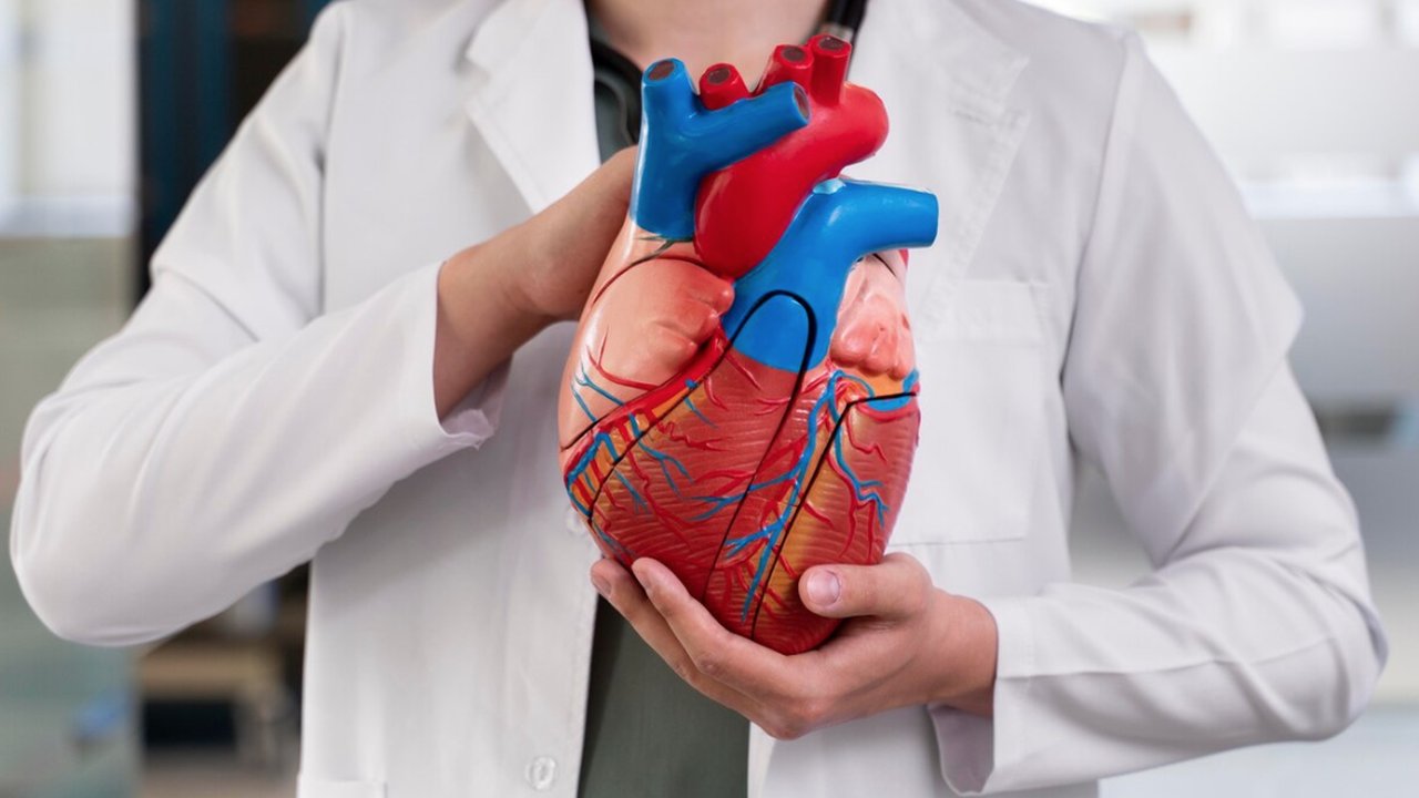 Langkah Sehat untuk Masa Depan, Manfaat Jalan Kaki Setiap Hari bagi Jantung dan Sendi