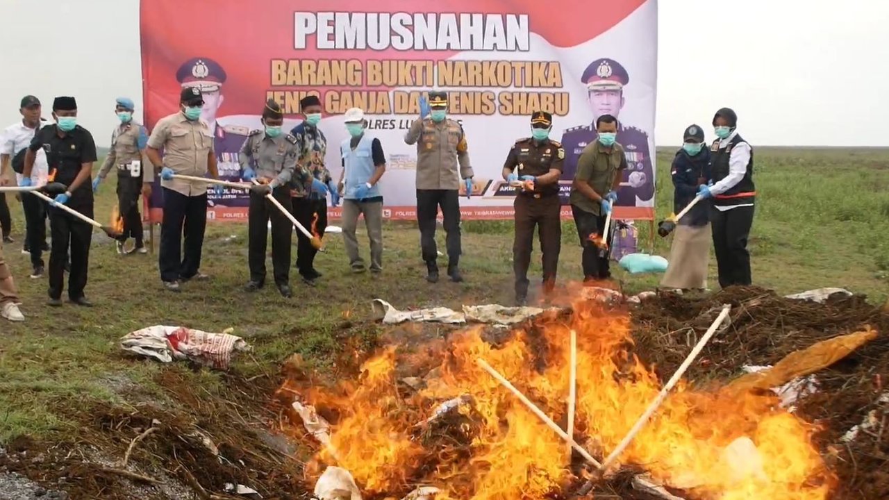 Polisi Musnahkan 47.000 Lebih Tanaman Ganja Tumbuh di Lereng Gunung Semeru