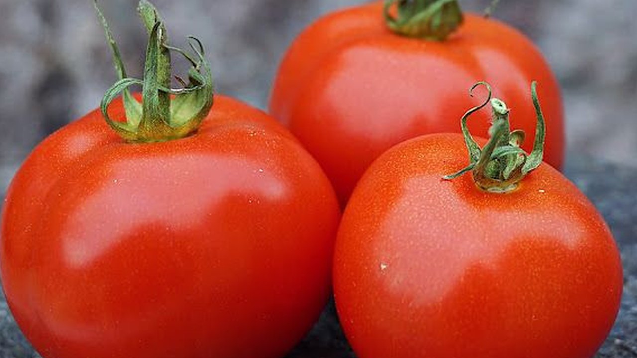 Tomat. (foto: Pinterest).