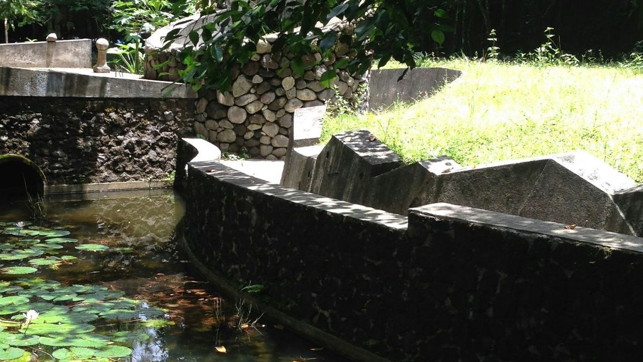 Mitos Kejatuhan Kotoran Cicak, Ini Berbagai Tafsirannya di Masyarakat